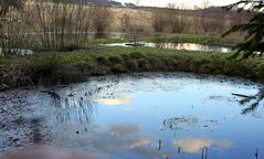 -Abendstimmung am Fischteich-