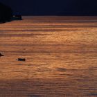 Abendstimmung am Fjord 2