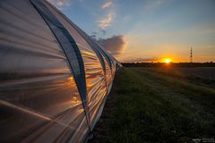 Abendstimmung am Folientunnel