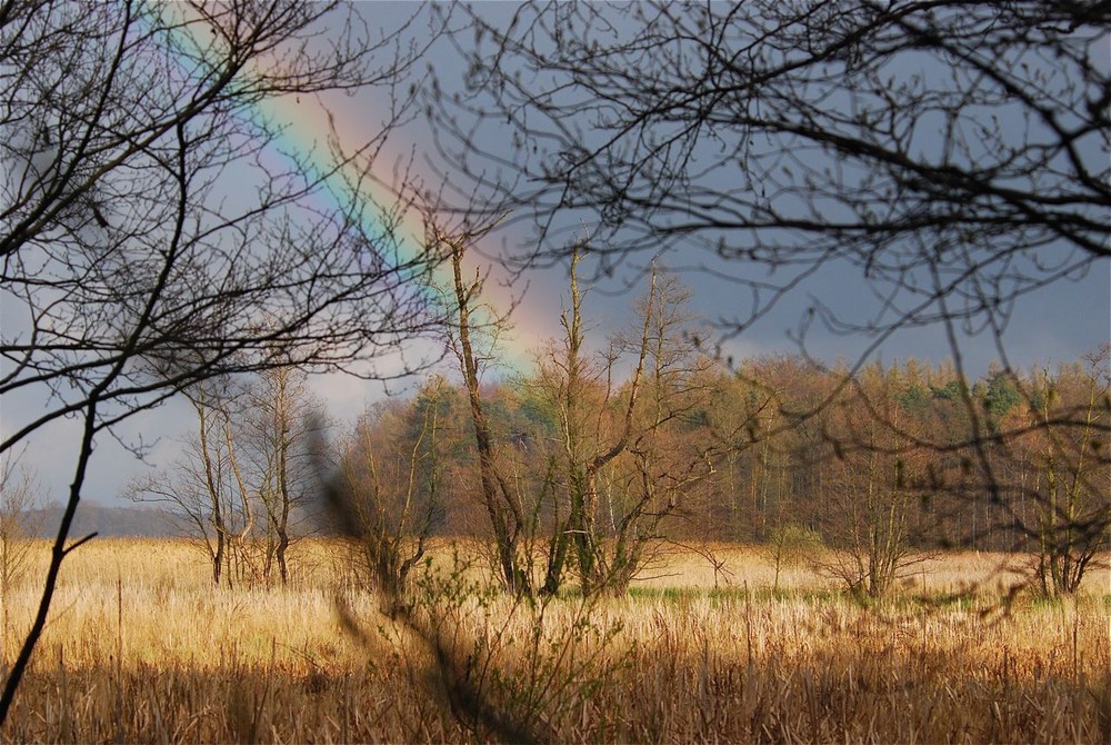 Abendstimmung am Frauenteich