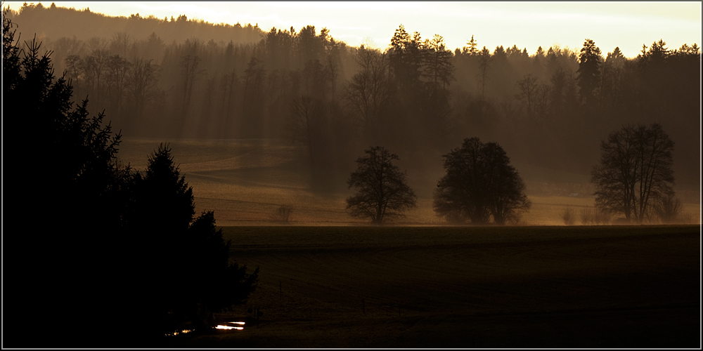 Abendstimmung am Gäbelbach