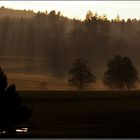 Abendstimmung am Gäbelbach