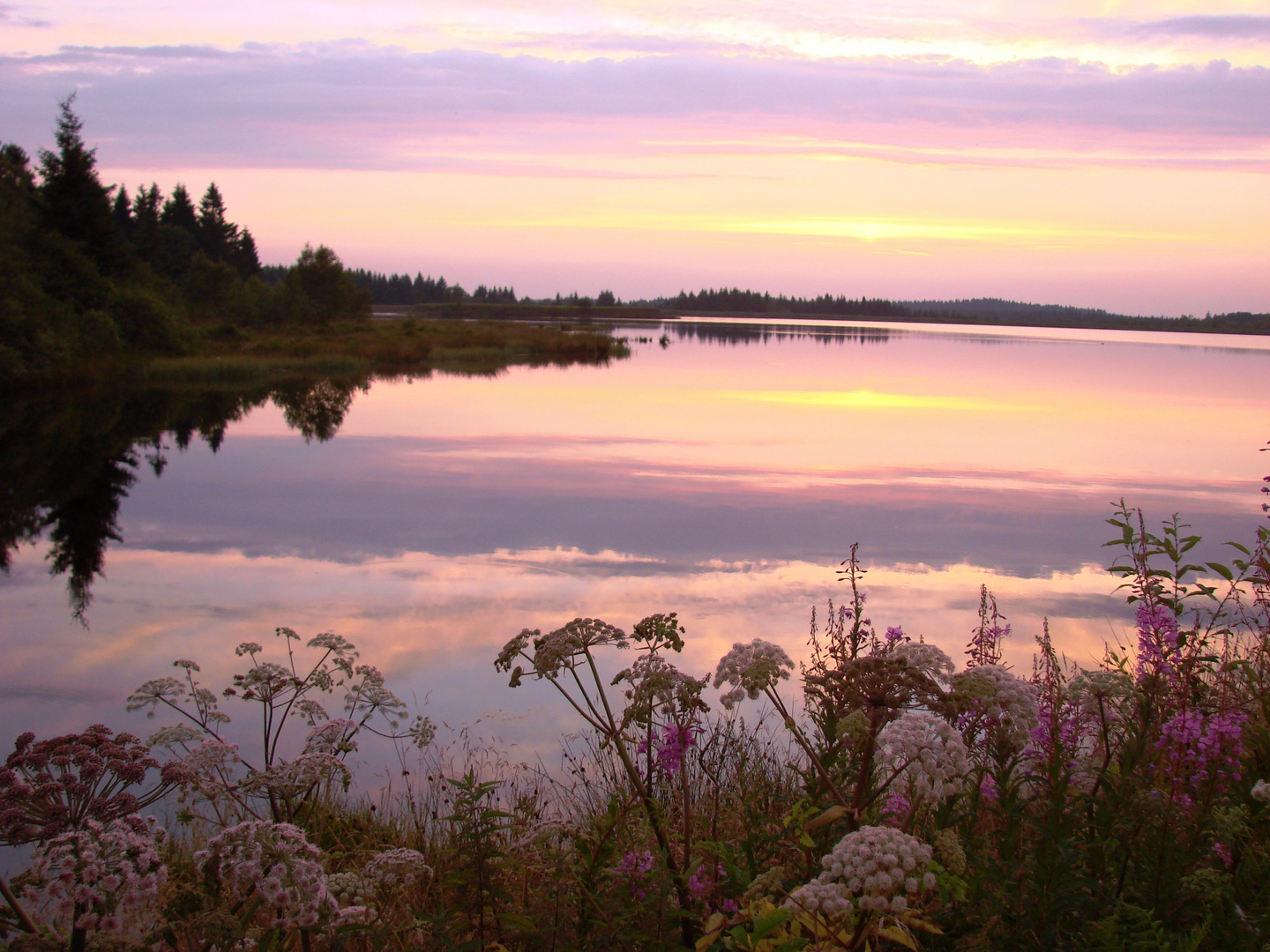 Abendstimmung am Galgenteich