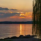 Abendstimmung am Gardasee