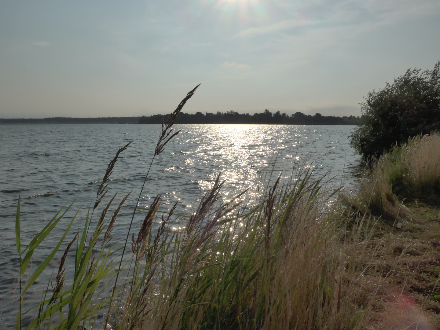 Abendstimmung am Geierswalder See