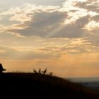 Abendstimmung am Gelben Berg