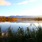 Abendstimmung am Gerzensee Kt.Bern