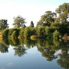 Abendstimmung am Götakanal (2)