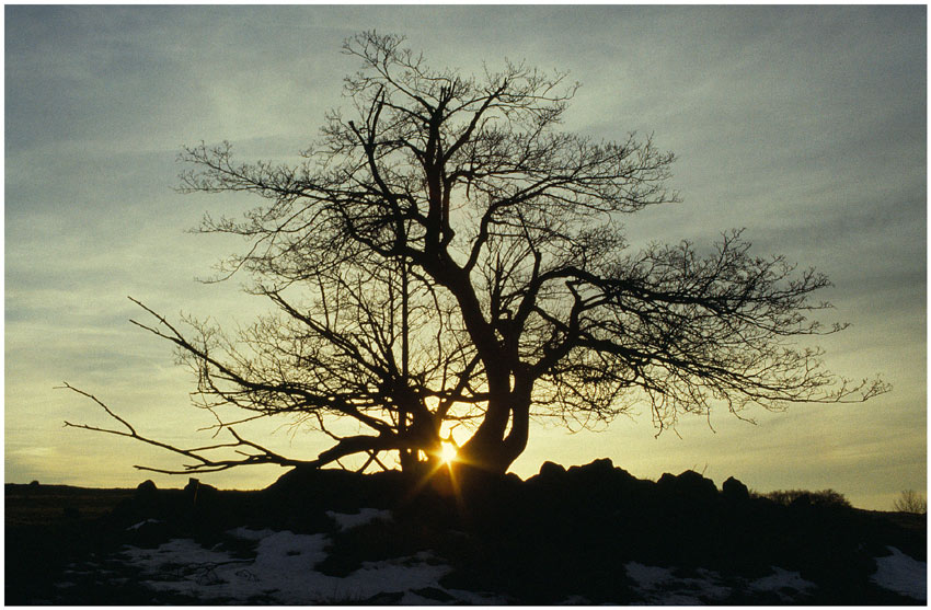 Abendstimmung am Grabenberg