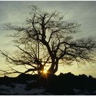 Abendstimmung am Grabenberg