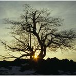 Abendstimmung am Grabenberg