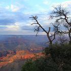 Abendstimmung am Grand Canyon