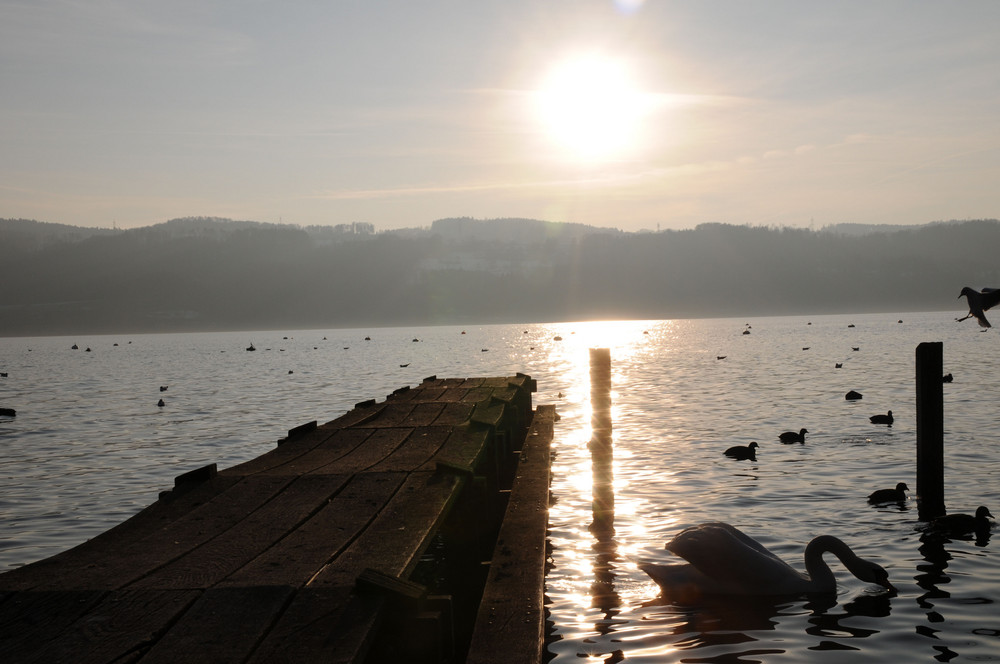 Abendstimmung am Greifensee 1