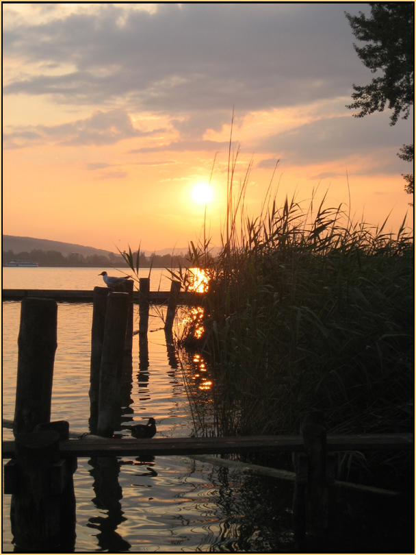 Abendstimmung am Greifensee