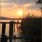 Abendstimmung am Greifensee