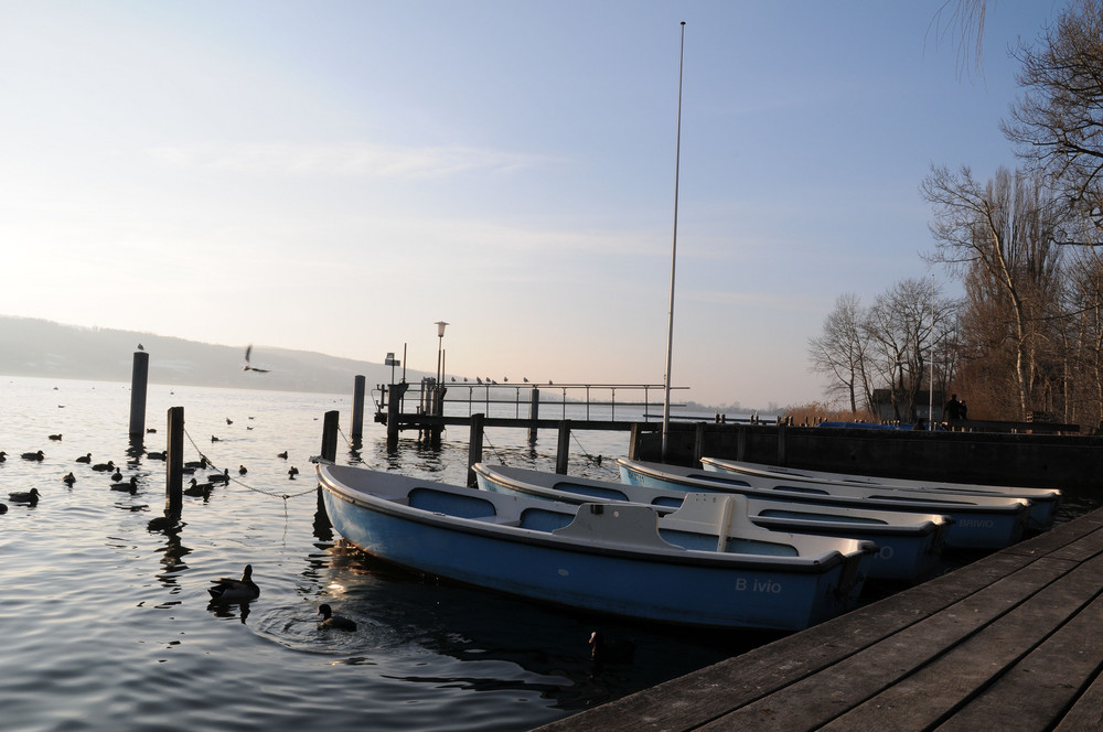 Abendstimmung am Greifensee