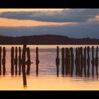 Abendstimmung am Großen Jasmunder Bodden ...