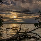 Abendstimmung am Großen Plöner See