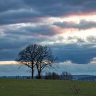 Abendstimmung am Haarener Berg