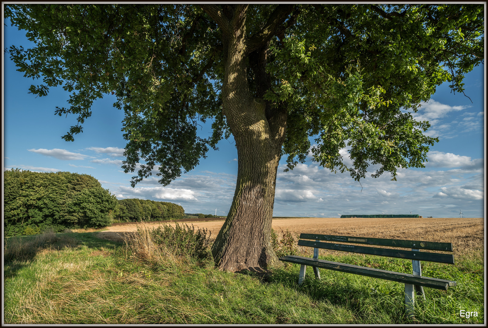 Abendstimmung am Haarstrang