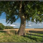 Abendstimmung am Haarstrang