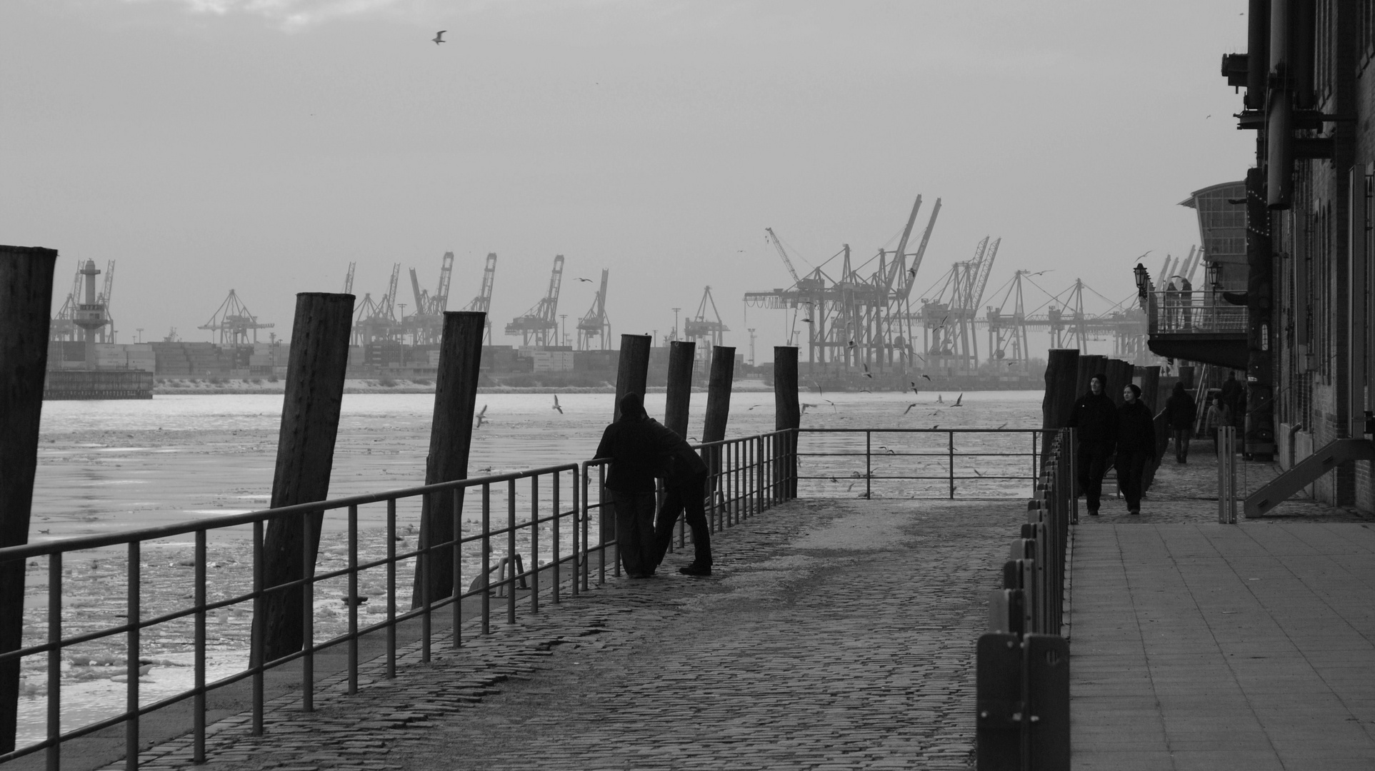 Abendstimmung am Hafen