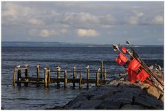 Abendstimmung am Hafen