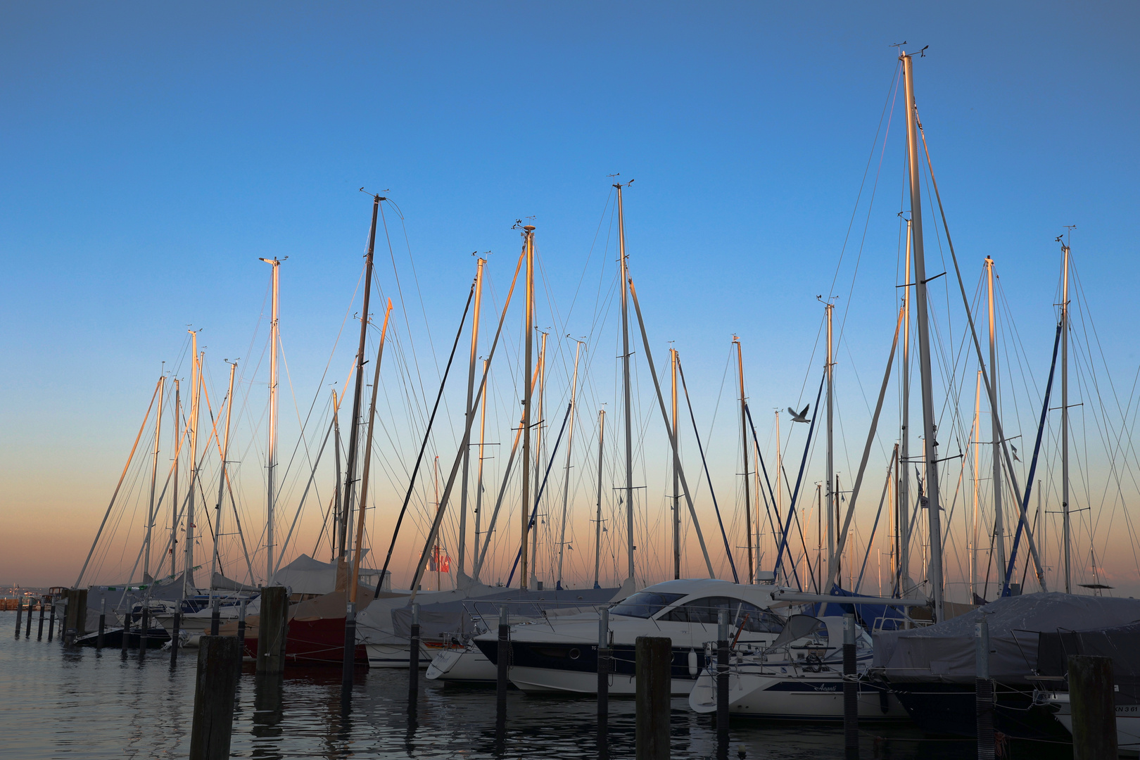 Abendstimmung am Hafen Konstanz