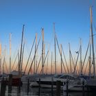 Abendstimmung am Hafen Konstanz