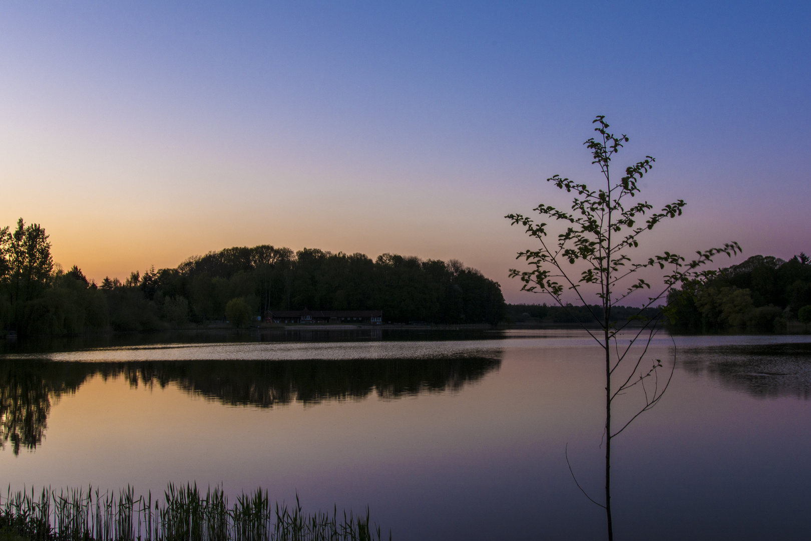 Abendstimmung am Herrenteich