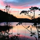 Abendstimmung am Herzberger Teich in Goslar 