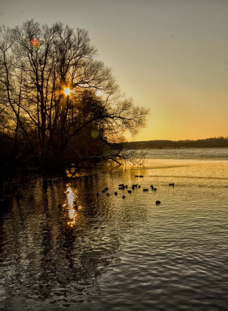 Abendstimmung am Hinsbecker Bruch