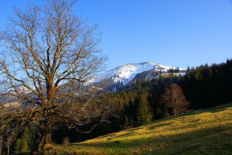 Abendstimmung am Hochgrat