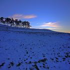 Abendstimmung am Hohenbol