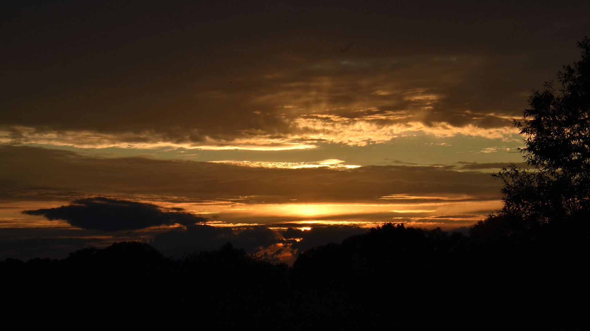 Abendstimmung am Hollerdeich (02)