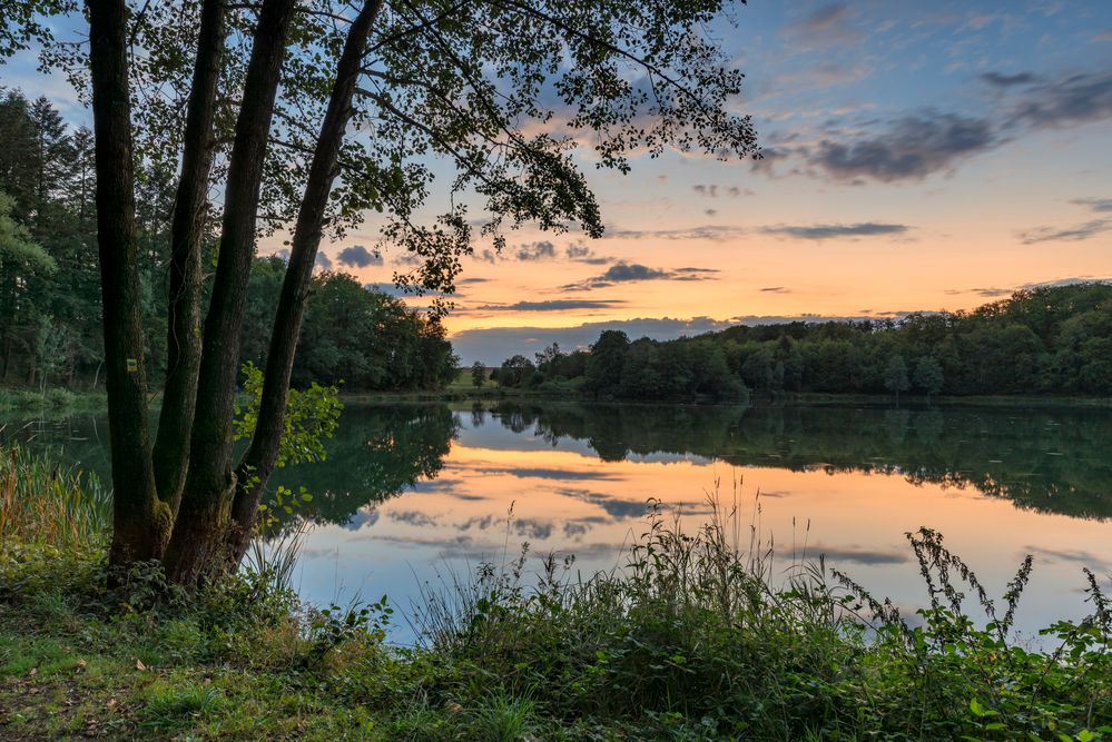 *Abendstimmung am Holzmaar*