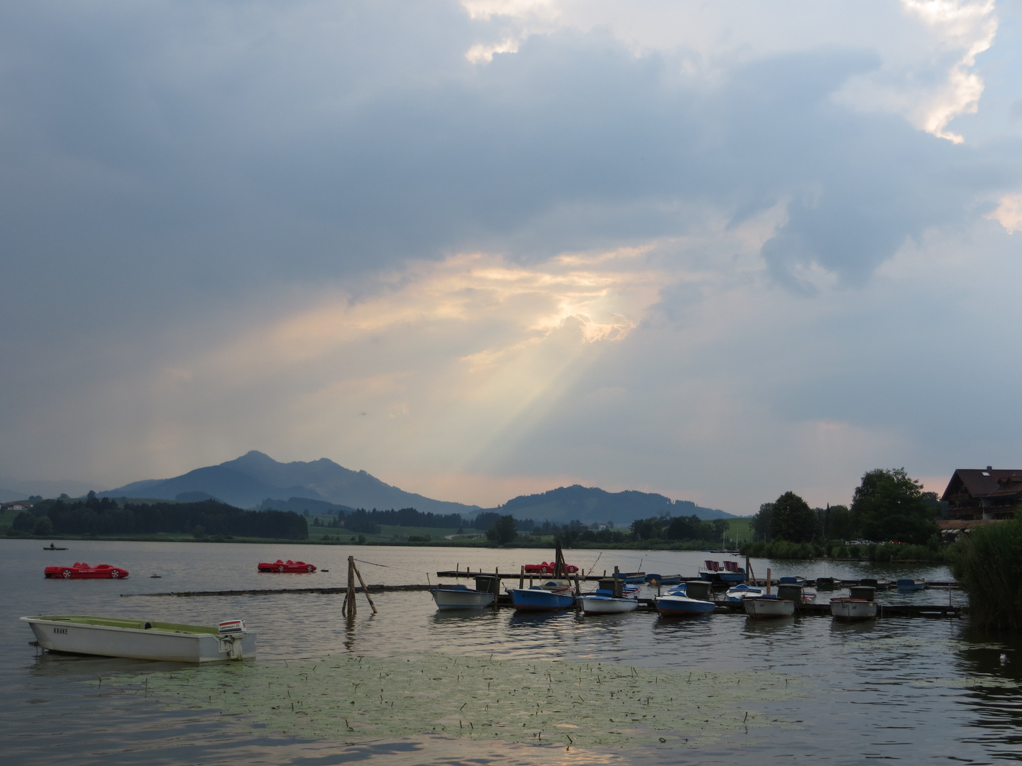 Abendstimmung am Hopfensee