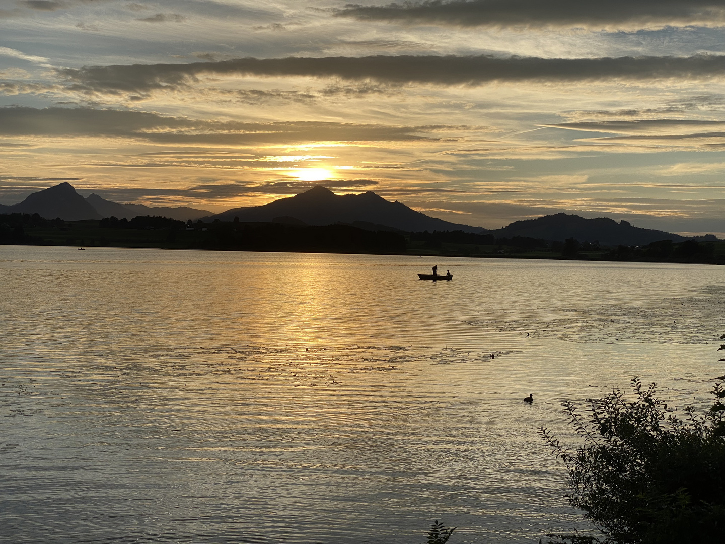 Abendstimmung am Hopfensee   