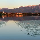 Abendstimmung am Hopfensee