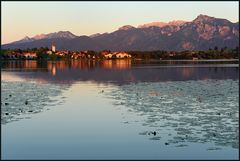 Abendstimmung am Hopfensee