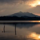 Abendstimmung am Hopfensee