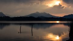 Abendstimmung am Hopfensee