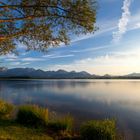 Abendstimmung am Hopfensee im Allgäu