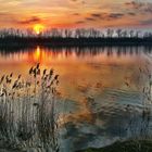 Abendstimmung am Hufeisensee