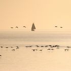 Abendstimmung am Ijsselmeer