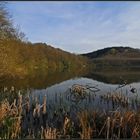 Abendstimmung am Immerather Maar