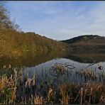 Abendstimmung am Immerather Maar