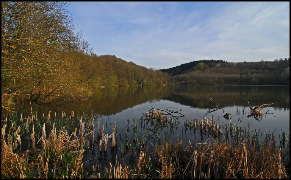 Abendstimmung am Immerather Maar