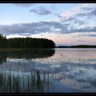 Abendstimmung am Joutsijärvi V