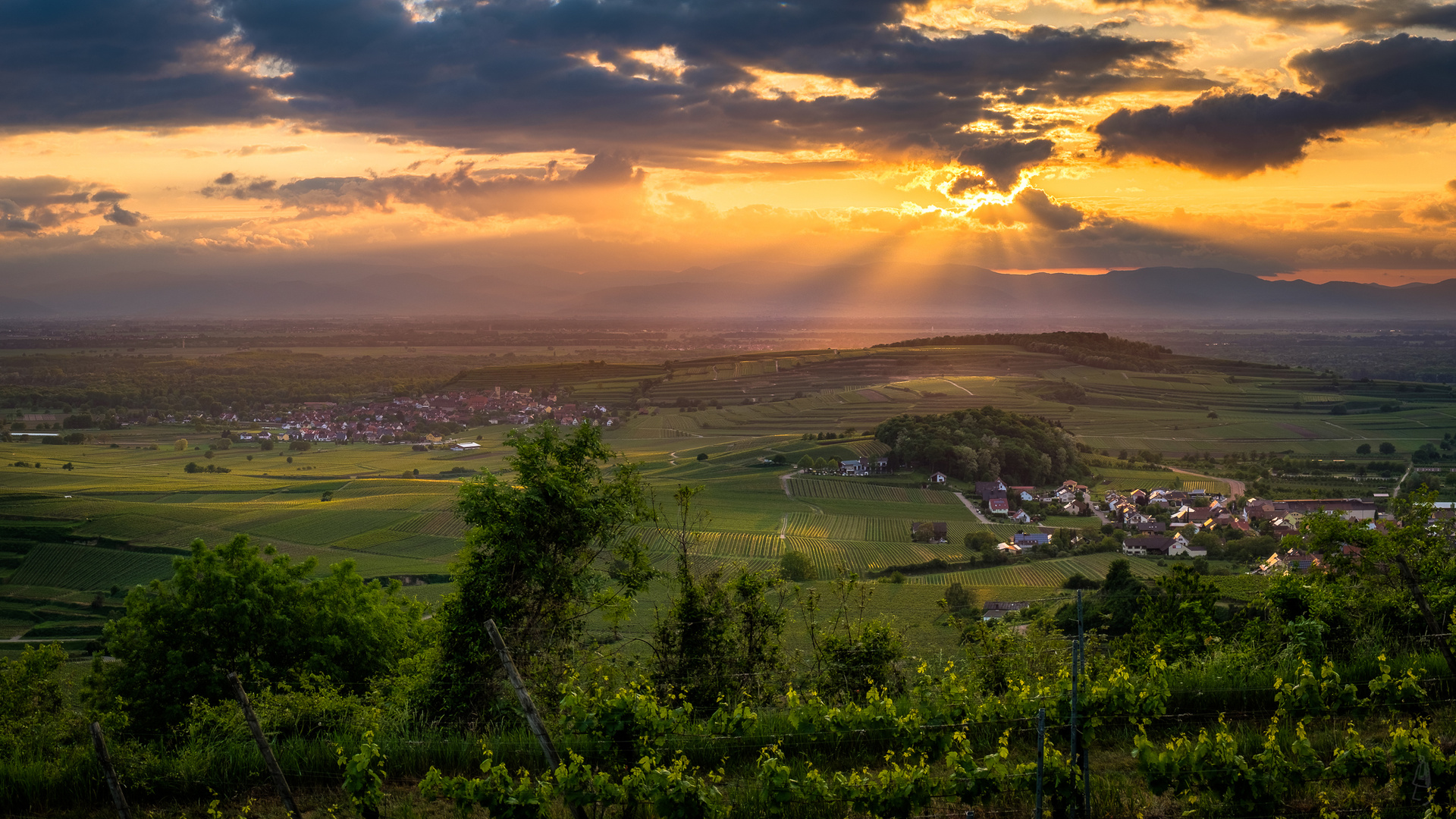 Abendstimmung am Kaiserstuhl 